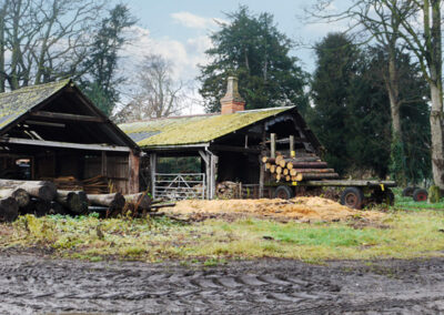 The Wood Yard (photo by Rosemary Platts)
